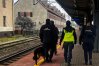 Policja oraz inne służby prowadzą wzmożone kontrole szlaków kolejowych