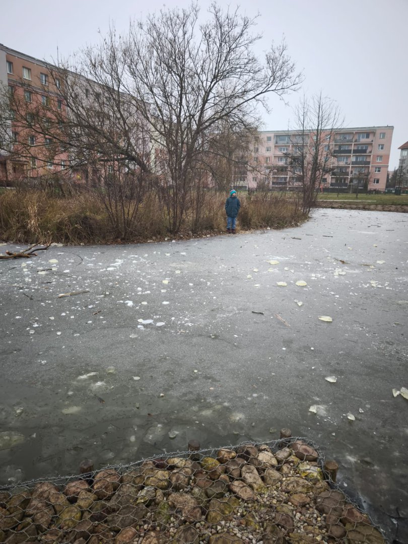Jaroty. 10-latek wszedł na zamarznięte oczko wodne. Nagle lód zaczął pękać [ZDJĘCIA]