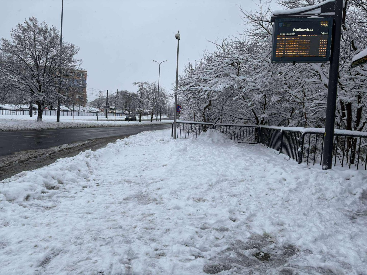 Warmia i Mazury walczą z atakiem zimy. Ponad 120 kolizji i 80 powalonych drzew