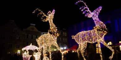 Zimowa podróż po regionie. Rusza sezon bożonarodzeniowych jarmarków na Warmii i Mazurach