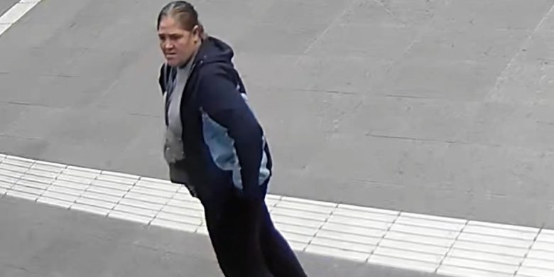 Olsztyn. Hyc do siaty i w nogi. Policja szuka pani, która 