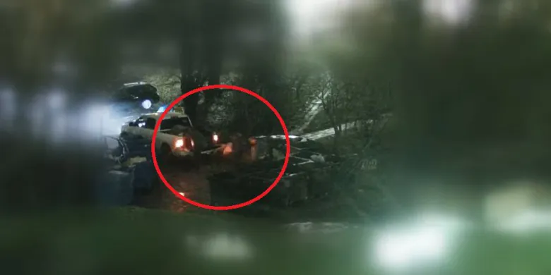 Olsztyn. Mieli pełne wory i żadnych zahamowań. Wszystko nagrały kamery [WIDEO]