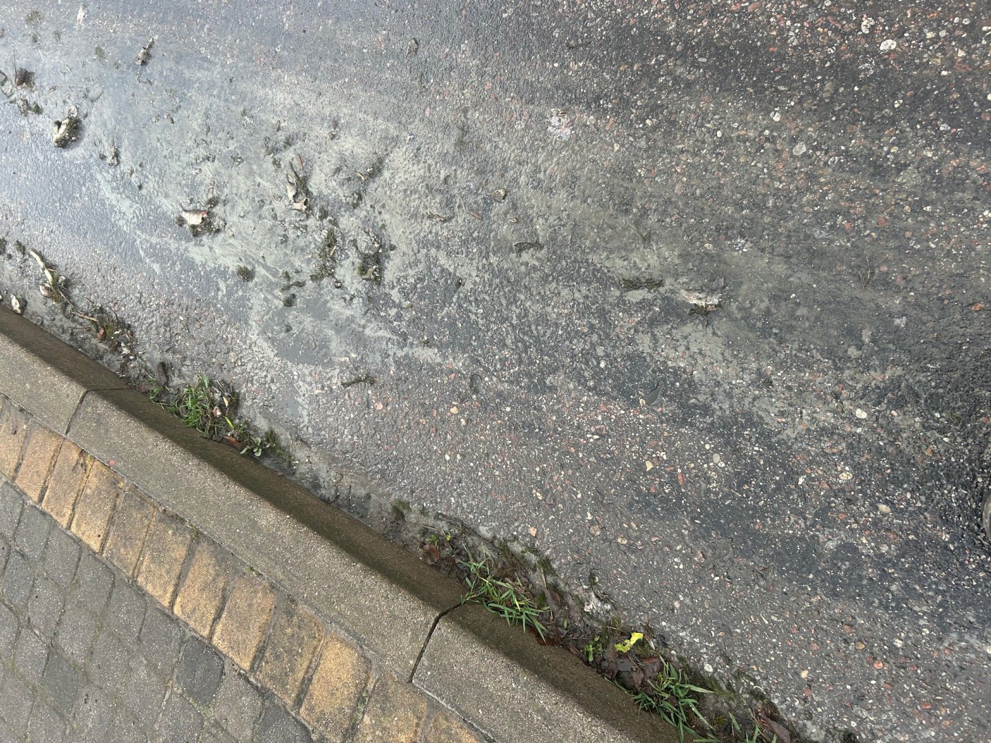 Oczyszczenie zbiornika czy zagrożenie dla ekosystemu? Kontrowersje w Ruszajnach. Gmina Barczewo reaguje [WIDEO]