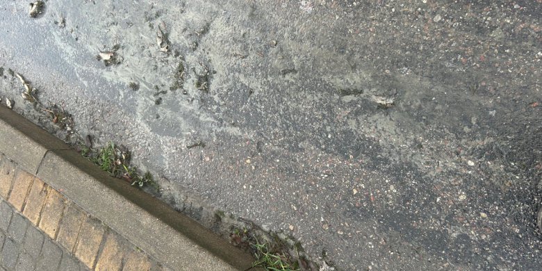 Oczyszczenie zbiornika czy zagrożenie dla ekosystemu? Kontrowersje w Ruszajnach. Gmina Barczewo reaguje [WIDEO]