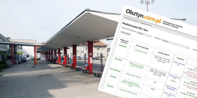 Artykuł: Zawsze aktualny i dostępny. Sprawdź rozkład jazdy PKS i busów na łamach naszego portalu