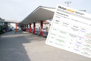 Zdjęcie ilustracyjne do tekstu