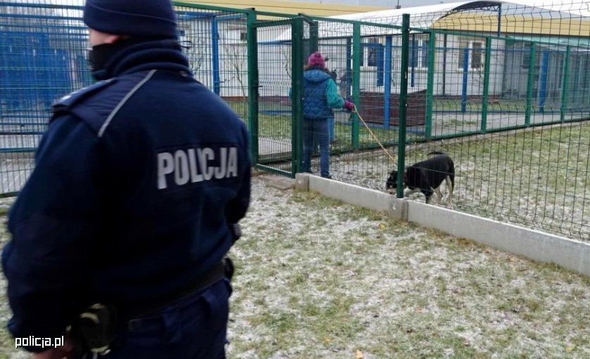 Agresja zamiast adopcji. Atak na kierowniczkę schroniska dla zwierząt w Tomarynach