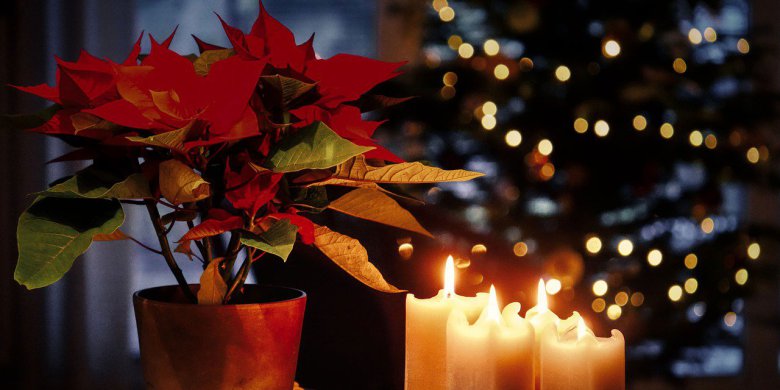 Artykuł: Od Wigilii do Trzech Króli. Jak świętowano Boże Narodzenie na Warmii?