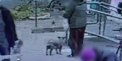 Przywiązała pupila na chwilę, a on... zniknął! 49-latek w rękach policji [WIDEO]