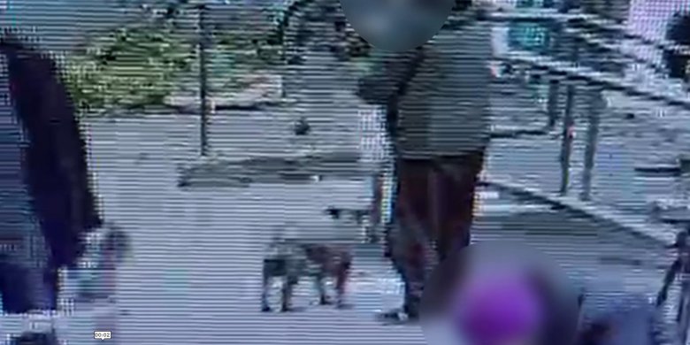 Przywiązała pupila na chwilę, a on... zniknął! 49-latek w rękach policji [WIDEO]