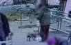 Moment kradzieży psa przy sklepie na Zatorzu