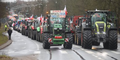 Artykuł: Rolnicy będą protestować na ulicach przeciwko Mercosur. "To walka o naszą pracę, ziemię i przyszłość polskiej wsi"