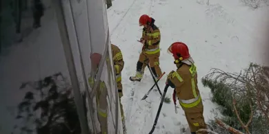 Pociąg Intercity Kormoran uderzył w zwisające drzewo. Ruch kolejowy na trasie Olsztyn-Działdowo całkowicie wstrzymany [ZDJĘCIA]
