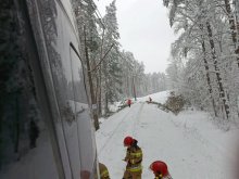 Pociąg Intercity uderzył w zwisające drzewo. Ruch kolejowy na trasie Olsztyn-Działdowo całkowicie wstrzymany [ZDJĘCIA]