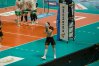 Zdjęcie 16
