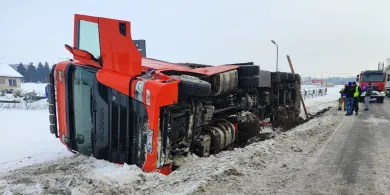 Samochód ciężarowy wpadł do rowu. W środku 170 świń