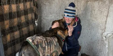 Zbiórka na przytulisko w Dźwierzutach. Dzięki apelom Iwony Arent jeden z psów znalazł dom!