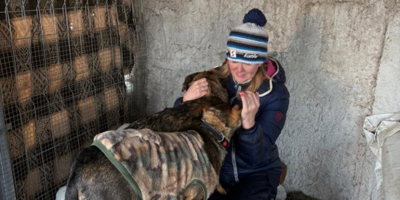 Zbiórka na przytulisko w Dźwierzutach. Dzięki apelom Iwony Arent jeden z psów znalazł dom!
