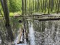 Bobry spowodowały m.in., że zamknięto odcinek trasy do Źródeł Łyny