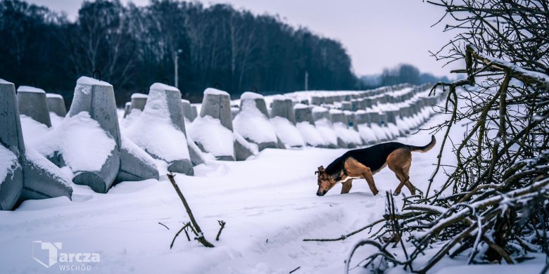 Tarcza Wschód. W 2026 roku do zabezpieczenia 200 km granicy [WIDEO, ZDJĘCIA]