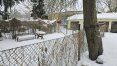 Zdjęcie 7