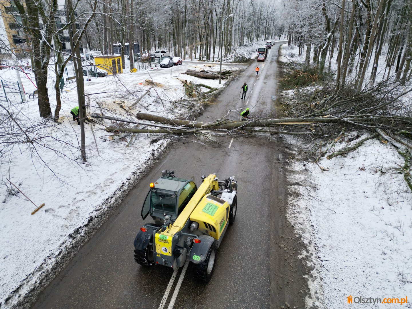 W Olsztynie zostanie wycięte ponad 1,3 tys. drzew. Jak miasto dba o zrównoważony rozwój? [ZDJĘCIA, WIDEO]