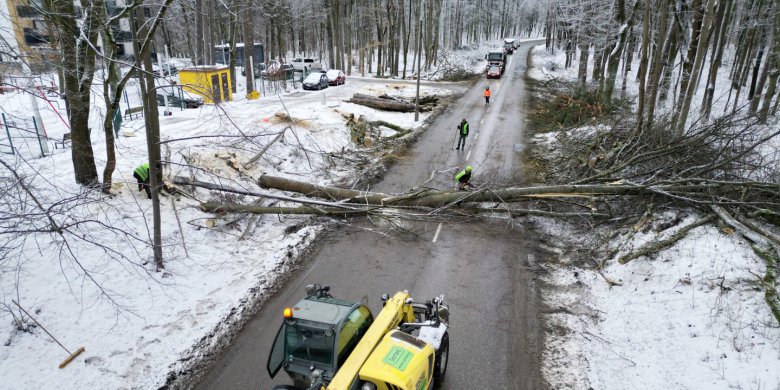 W Olsztynie zostanie wycięte ponad 1,3 tys. drzew. Jak miasto dba o zrównoważony rozwój? [ZDJĘCIA, WIDEO]