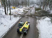 W Olsztynie zostanie wycięte ponad 1,3 tys. drzew. Jak miasto dba o zrównoważony rozwój? [ZDJĘCIA, WIDEO]