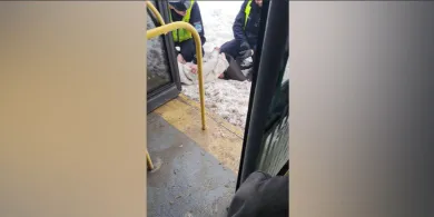 Nikielkowo: kierowca MPK zaatakowany nożem. Policja szuka świadków [WIDEO]