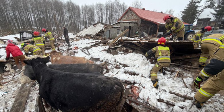 Zawalił się dach stodoły. Kilka zwierząt padło [ZDJĘCIA]