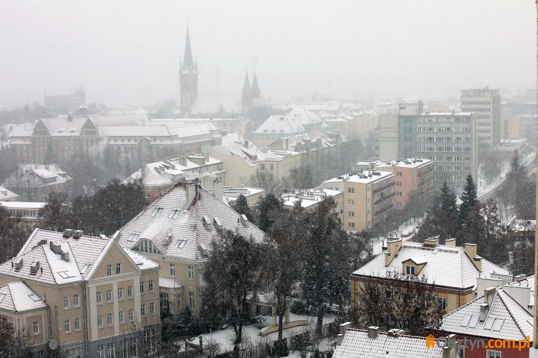 Nowa spółka w stolicy regionu. Czym zajmie się „Olsztyńskie Mienie Miejskie”? [AKTUALIZACJA]