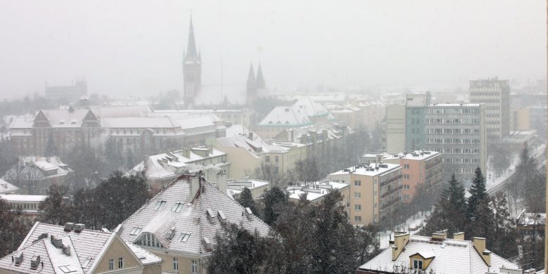 Nowa spółka w stolicy regionu. Czym zajmie się „Olsztyńskie Mienie Miejskie”?
