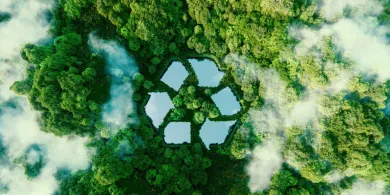 Gdzie uzyskać pomoc w rejestracji do BDO?