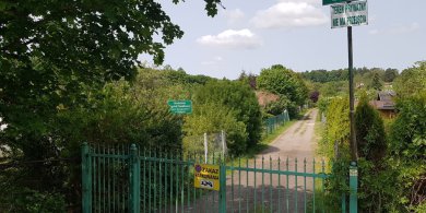 Artykuł: „Cenna enklawa zieleni” w strefie usługowej? Działkowcy z ROD „Kormoran” apelują do radnych