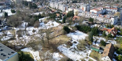 Artykuł: Olsztyn. Ratusz kontra mieszkańcy Niedźwiedzia. Troska o 150-letnie drzewa czy dewelopera?