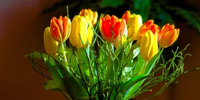 Idealny bukiet na Dzień Kobiet? Zamów go online i otrzymaj ekspresową dostawę!