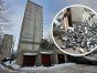 Codziennie o godz. 14 w pobliżu bloku pojawiają się gołębie, które oczekują na karmicielkę i posiłek
