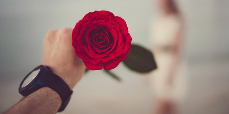 Nowoczesne oblicze wellnessu. Dlaczego profesjonalizacja branży intymnej to klucz do zdrowej relacji?