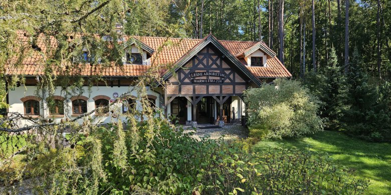 „Festiwal kolorów” w arboretum pod Olsztynem. To miejsce zachwyca wiosną i latem [ZDJĘCIA]