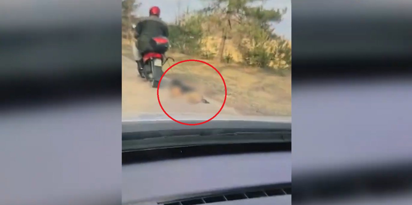 Powiat mrągowski. 72-latek ciągnął psa na sznurku za motorowerem. Nagranie szokuje [WIDEO]