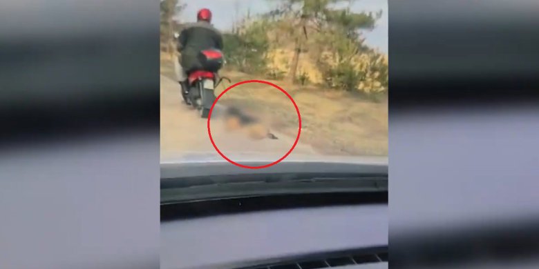 Powiat mrągowski. 72-latek ciągnął psa na sznurku za motorowerem. Nagranie szokuje [WIDEO]