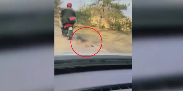 Powiat mrągowski. 72-latek ciągnął psa na sznurku za motorowerem. Nagranie szokuje [WIDEO, AKTUALIZACJA]