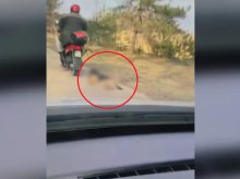 Powiat mrągowski. 72-latek ciągnął psa na sznurku za motorowerem. Nagranie szokuje [WIDEO, AKTUALIZACJA]