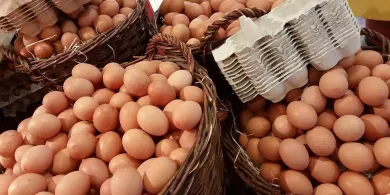 Wielkanoc. Coraz mniej promocji na jajka. Ceny w sklepach są mocno wyrównane