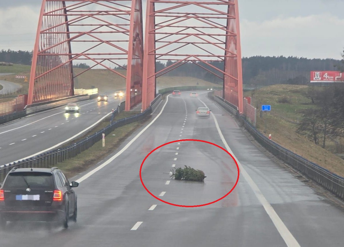 Choinka na obwodnicy Olsztyna rozpaliła internet. "Ten co na straż dzwonił, powinien zapłacić karę"