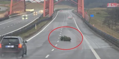 Choinka na obwodnicy Olsztyna rozpaliła internet. Ten co na straż dzwonił, powinien zapłacić karę