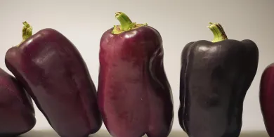 Jak dbać o zdrowie: praktyczne porady dla każdego z nas