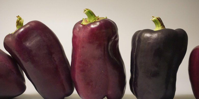 Jak dbać o zdrowie: praktyczne porady dla każdego z nas