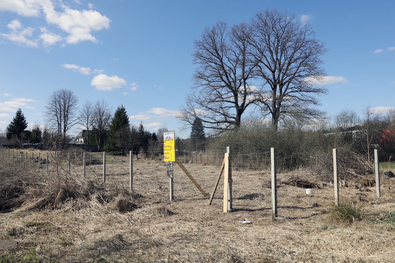 Olsztyn. Deweloper ogrodził działki przy 150-letnich dębach. Mieszkańcy chcą wstrzymania prac [ZDJĘCIA]