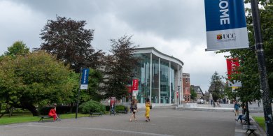 Artykuł: Studia w Irlandii – jak wybrać kierunek i uczelnię, które przekładają się na pracę?